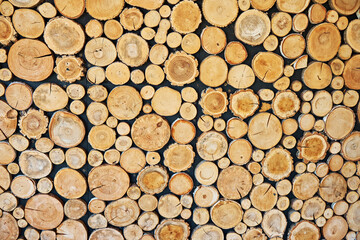 Decorative decoration of the wall with pieces of wood. Interior. Selective focus