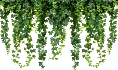 Cascading Green Vines Cluster