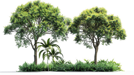 Two Tropical Trees with Lush Green Foliage
