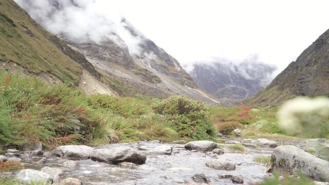 Woman with backpack and trekking poles crossing mountain creek during Makalu Barun National Park trek in Nepal. Mountain hiking and active people concept 4K footage.