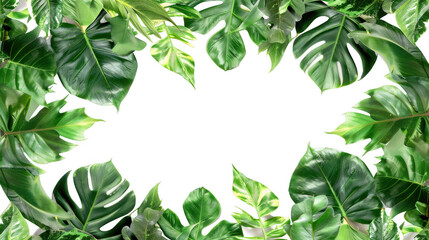 Tropical Leaves Frame