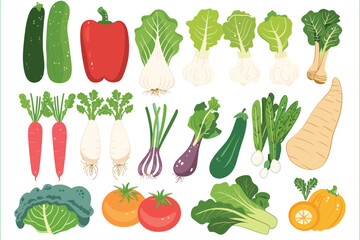 Seamless pattern of fresh vegetables. Collection of hand drawn vegetable illustrations isolated on white background. Set of various kinds of vegetable, isolated on a white background.