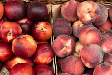 Nectarines and peaches