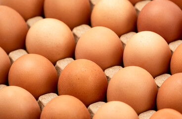 A number of fresh chicken eggs on a paper tray