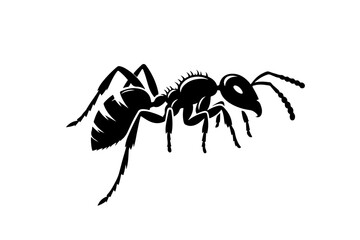 ant vector silhouette illustration