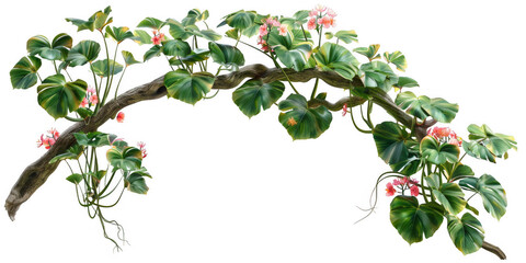 Arching Branch with Monstera Leaves and Pink Flowers