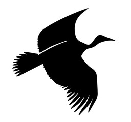 Bird Silhouette With Spread Wings