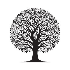Black Vector silhouette of tree on white background