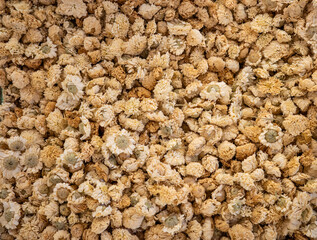 dry chamomile flowers close up