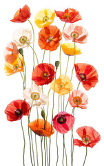 Obraz premium Vertical Arrangement of Colorful Poppy Flowers