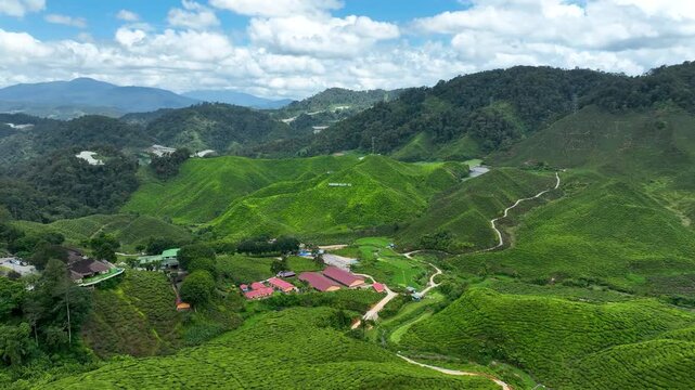 Famous Asian landmark, Boh Tea Plantation, Cameron Valley house, aerial