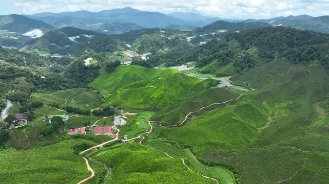 Aerial, refreshing escape tropical heat, Malaysian highlands destination