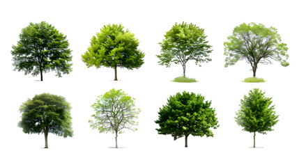 Obraz premium Collection of Trees isolated on transparent background