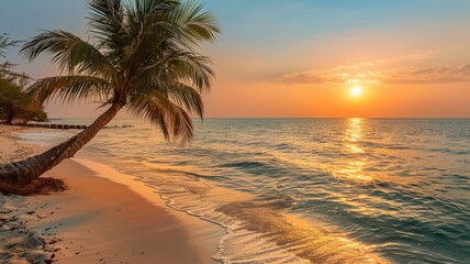 Palm Tree Silhouetted Against a Golden Sunset on a Tropical Beach