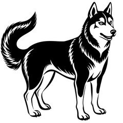 Siberian husky dog silhouette full body standing  for graphic design vector and illustration on white Background