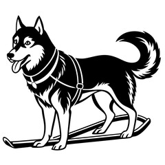 Fototapeta premium Siberian husky dog silhouette full body standing for graphic design vector and illustration on white Background