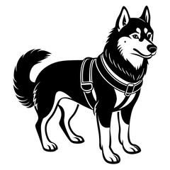 Siberian husky dog silhouette full body standing  for graphic design vector and illustration on white Background