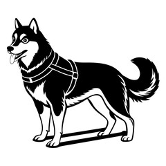 Siberian husky dog silhouette full body standing  for graphic design vector and illustration on white Background