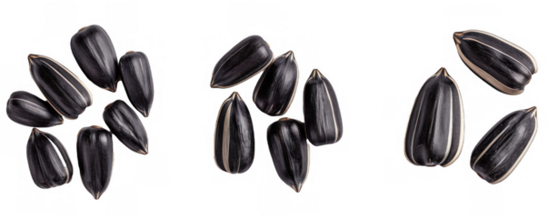 Close-Up of Black Sunflower Seeds