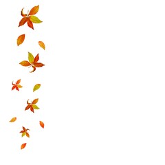 Watercolor leafs frame card of orange red gold autumn leaves. White background. Copy space