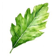 A watercolor of a deeply lobed papaya leaf in vibrant green.