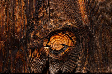 Natural wood knot with details of cracks and rings. Brown burnt wood texture. Abstract background..