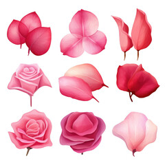Collection of Pink and Red Rose Petals