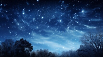 Naklejka premium A beautiful winter night sky brimming with stars, set above frosty treetops, capturing the enchanting tranquility and pristine beauty of a cold, starry night.