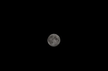 Obraz premium Partial Lunar Eclipse June 2020