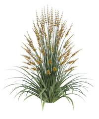 Albero con e senza foglie di vari colori verdi, gialle, rosse o, arancioni o multicolore fondo trasparente e isolato