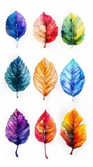 Obraz premium Vibrant Whimsical Watercolor Leaf Set with Rainbow Palette and Playful Childlike Designs on White Background