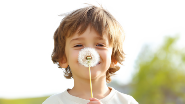 Boy with Dandelion in the Park isolated on a transparent background - Powered by Adobe