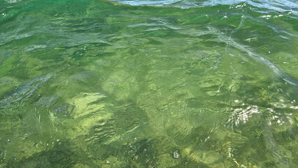 Transparent natural background of green clean sea water