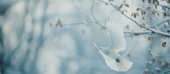 A white dove gracefully flies through a snowy forest, symbolizing peace and purity.