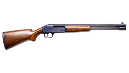 shotguns are shown on white background