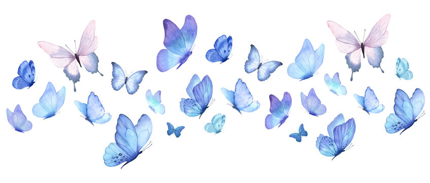 Butterfly collection. Watercolor illustration. Colorful Butterflies clipart set. Baby shower design elements. Party invitation, birthday celebration. Spring, summer decoration. Flock