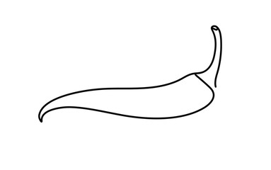 Continuous one line drawing of hot chili pepper graphic design. Single line art illustration of spicy chili pepper on transparent background