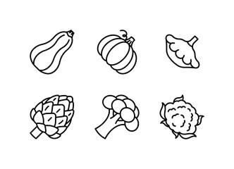 Vegetable line icon set - pumpkin, squash, artichoke, broccoli, cauliflower. Minimalist simple linear illustration. Editable icons, thin line