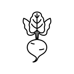 Beetroot flat line icon. Linear illustration of a root vegetable. Icon of a beet for a menu, a recipe, grocery app, design. Vector sign, thin stroke, editable line.