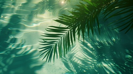 Abstract tropical background with blue water and palm leaves