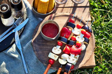 Background on a tray on the river bank in summer on a picnic with vegetables, kebab and glasses of red wine