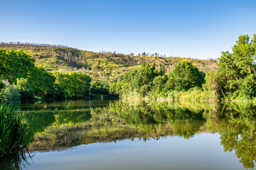 Obraz premium landscape with lake