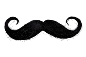 Black moustache isolated on transparent background