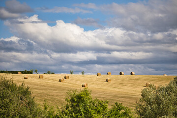 Paysage campagne champ avec bottes de foin