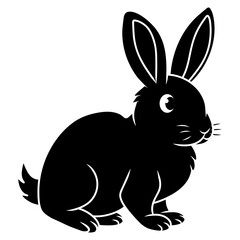 bunny cartoon