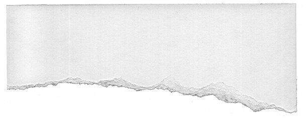Fototapeta premium Stylish Ripped Torn Transparent Paper Edge Texture Background