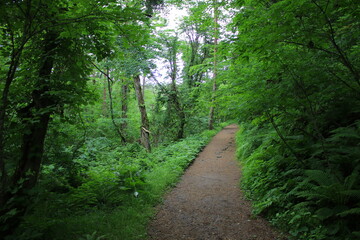 Obraz premium 五色沼