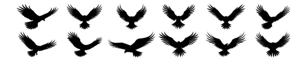 Eagle silhouettes set, pack of vector silhouette design, isolated background