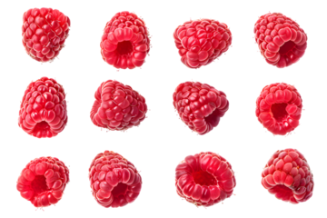  Fresh raspberry collection isolated on transparent background