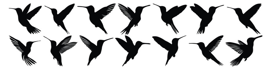 Hummingbird silhouette set vector design big pack of illustration and icon